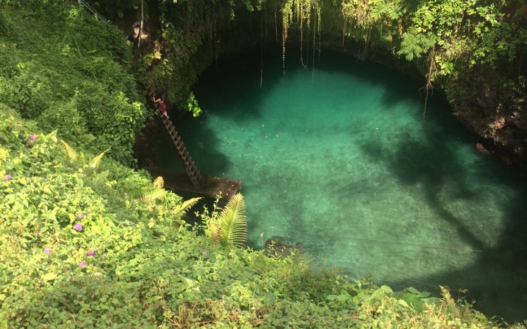 Meet: Coconut Cluster