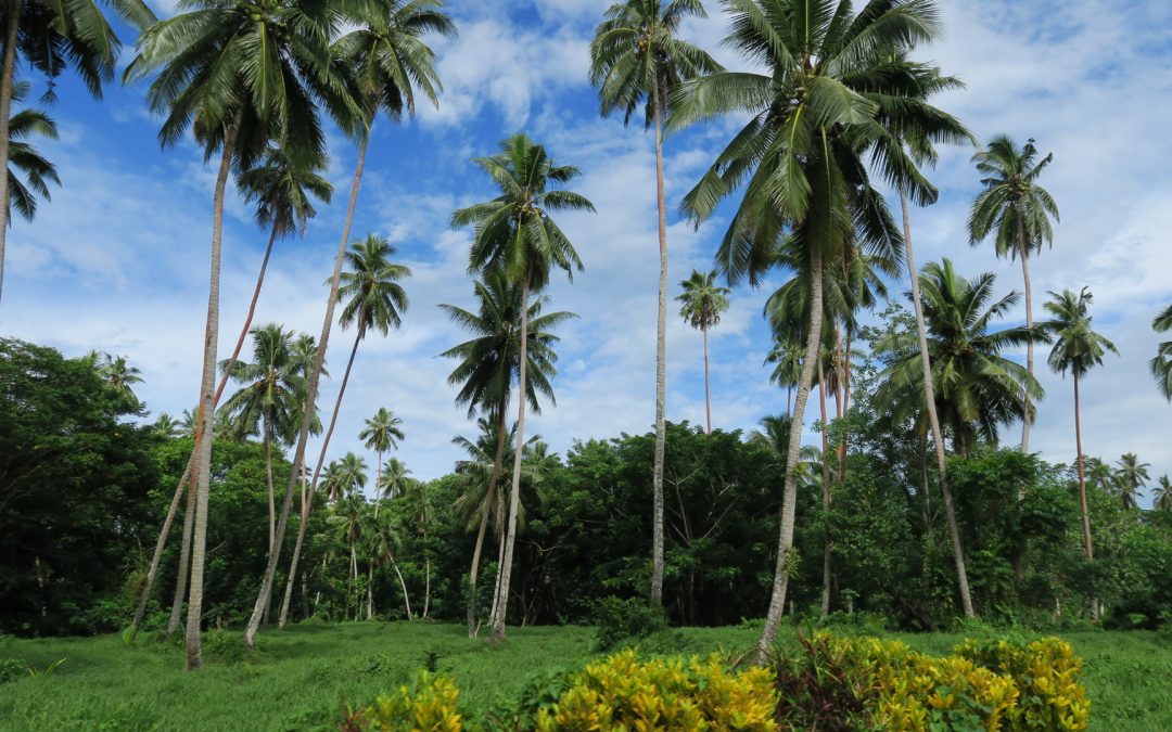 WATCH: Our Work in the Pacific