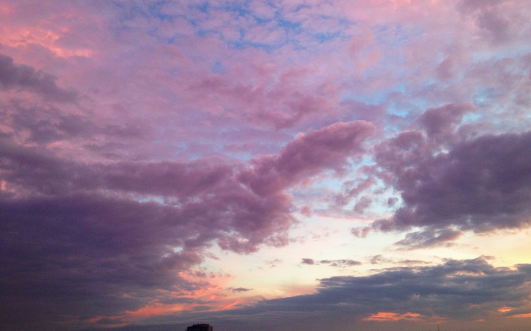 Anthea’s Blog About Finding Opportunity in Adversity