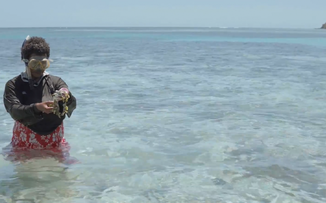 Pivoting during COVID: responses from Fiji