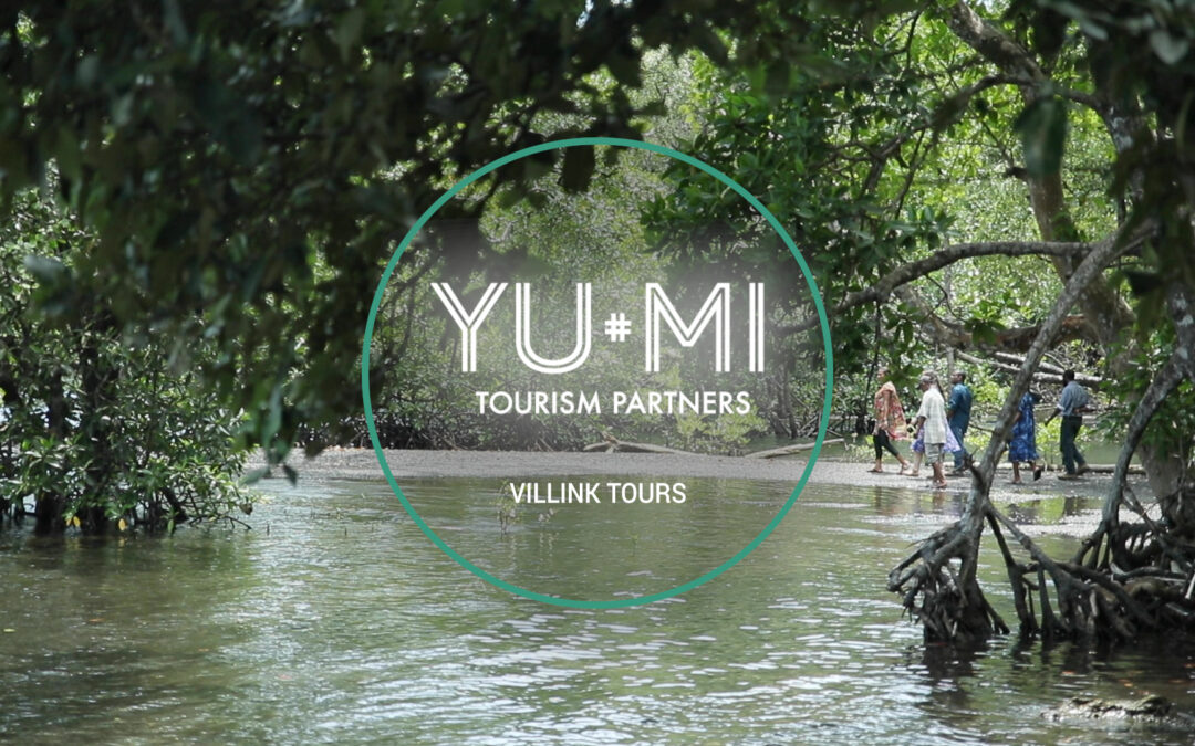YuMi Tourism Partners (Alotau) – VilLink Tours & Expeditions PNG