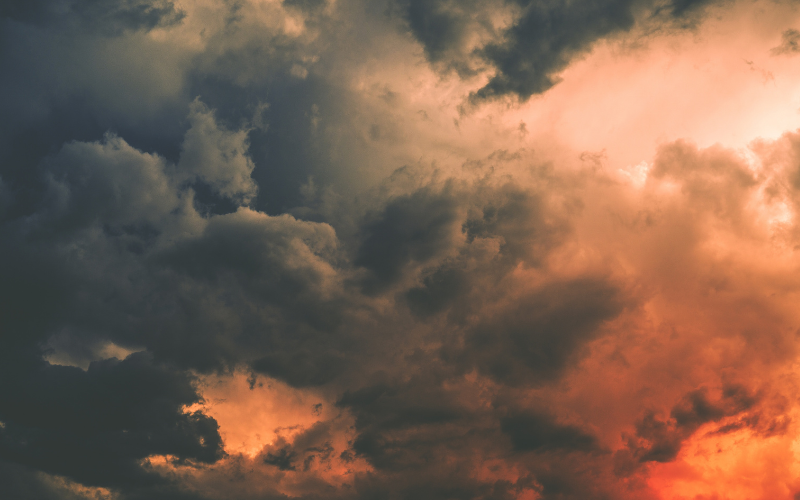 Reflections on a year of Crisis and Challenge