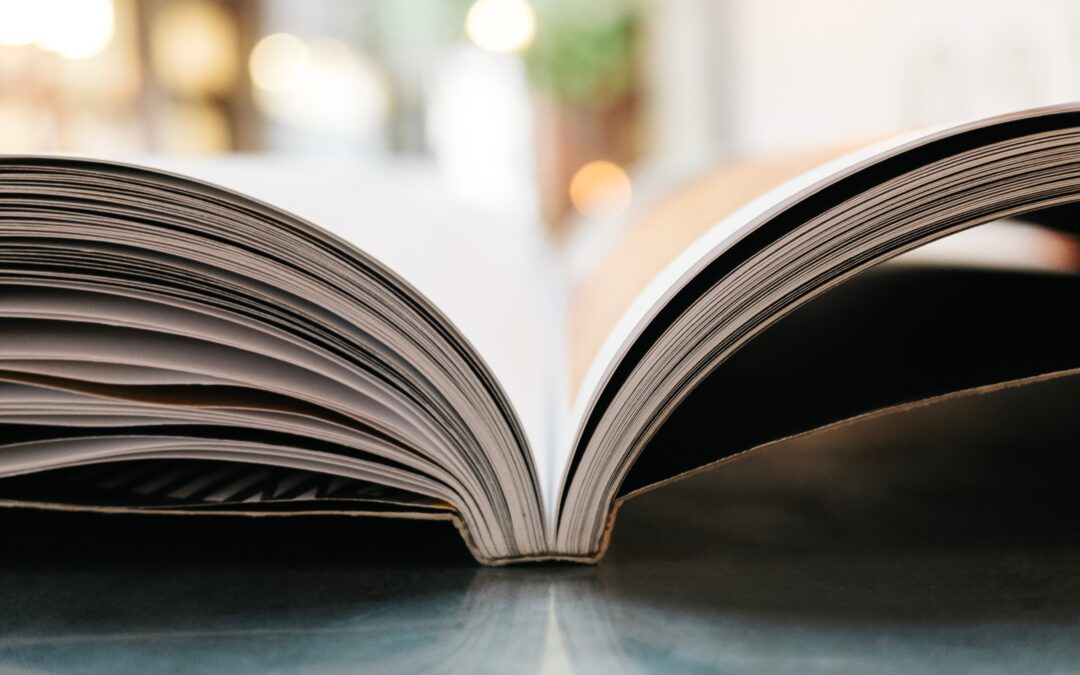 Holiday Reading Recommendations