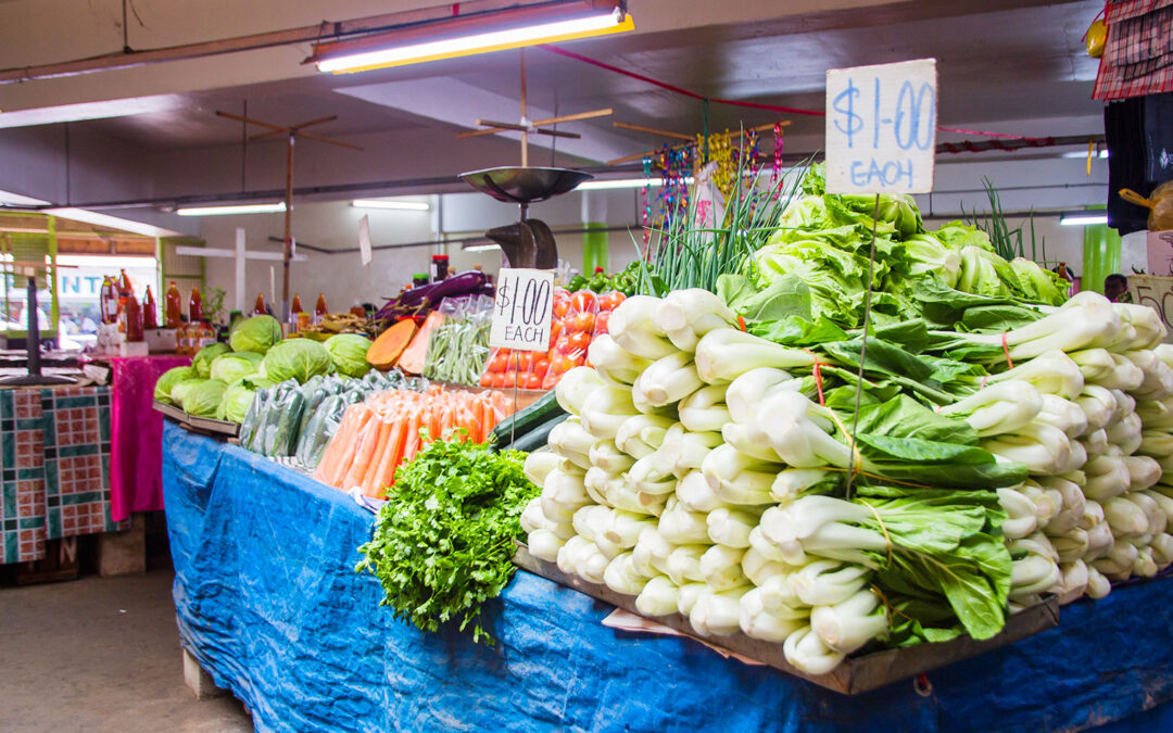 A creative business model that is inspiring Pacific Islanders to return to local cuisine to benefit their health, economy and climate