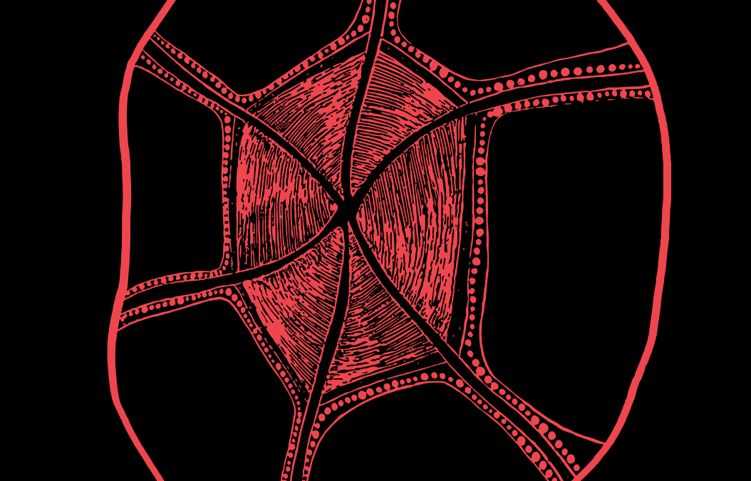 Introducing: Accelerate with IBA 2022 Cohort